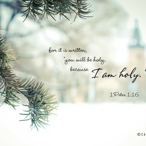 Meet your Posher, Hyohyun